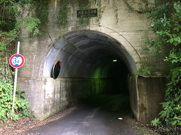 向山トンネル・共栄トンネル